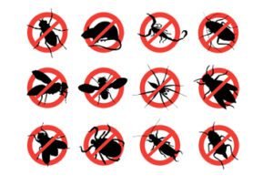 dedetização zona sul são paulo