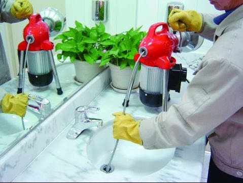 desentupiora jacupiranga