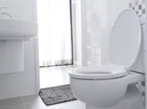 desentupidora vila carolina sp