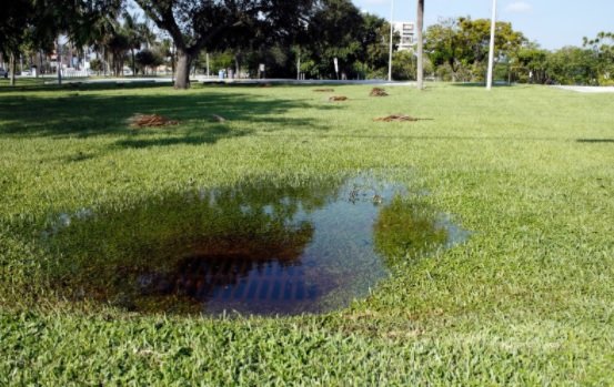 esgoto ralo entupido santana parnaiba