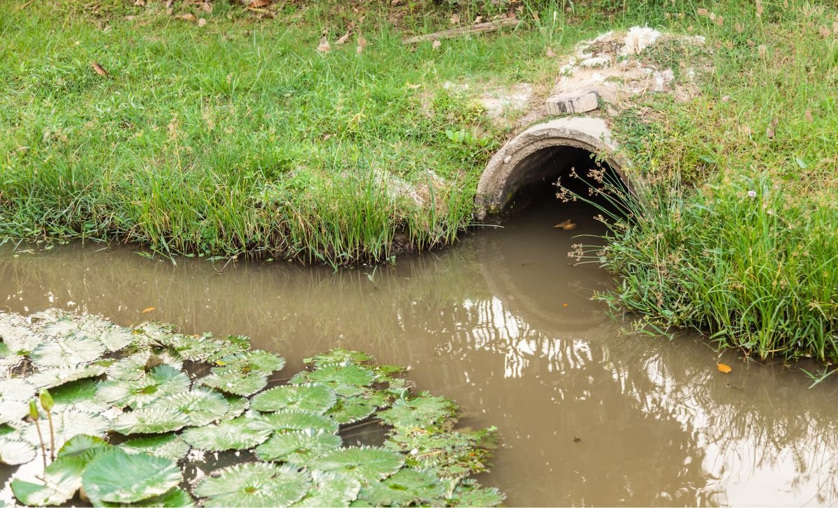 esgoto entupido sao paulo sp