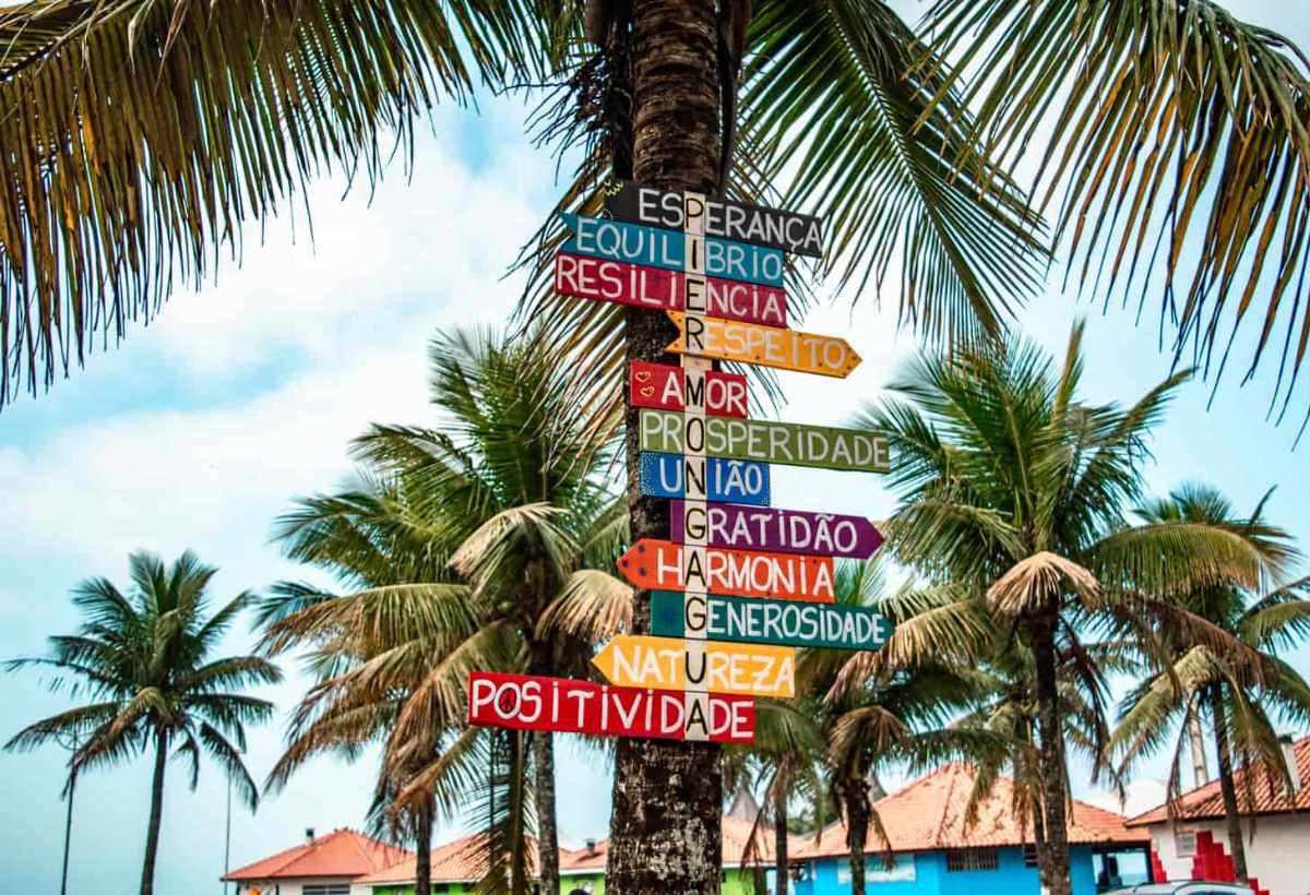 Fluxo em Ambientes umidos e Arenosos