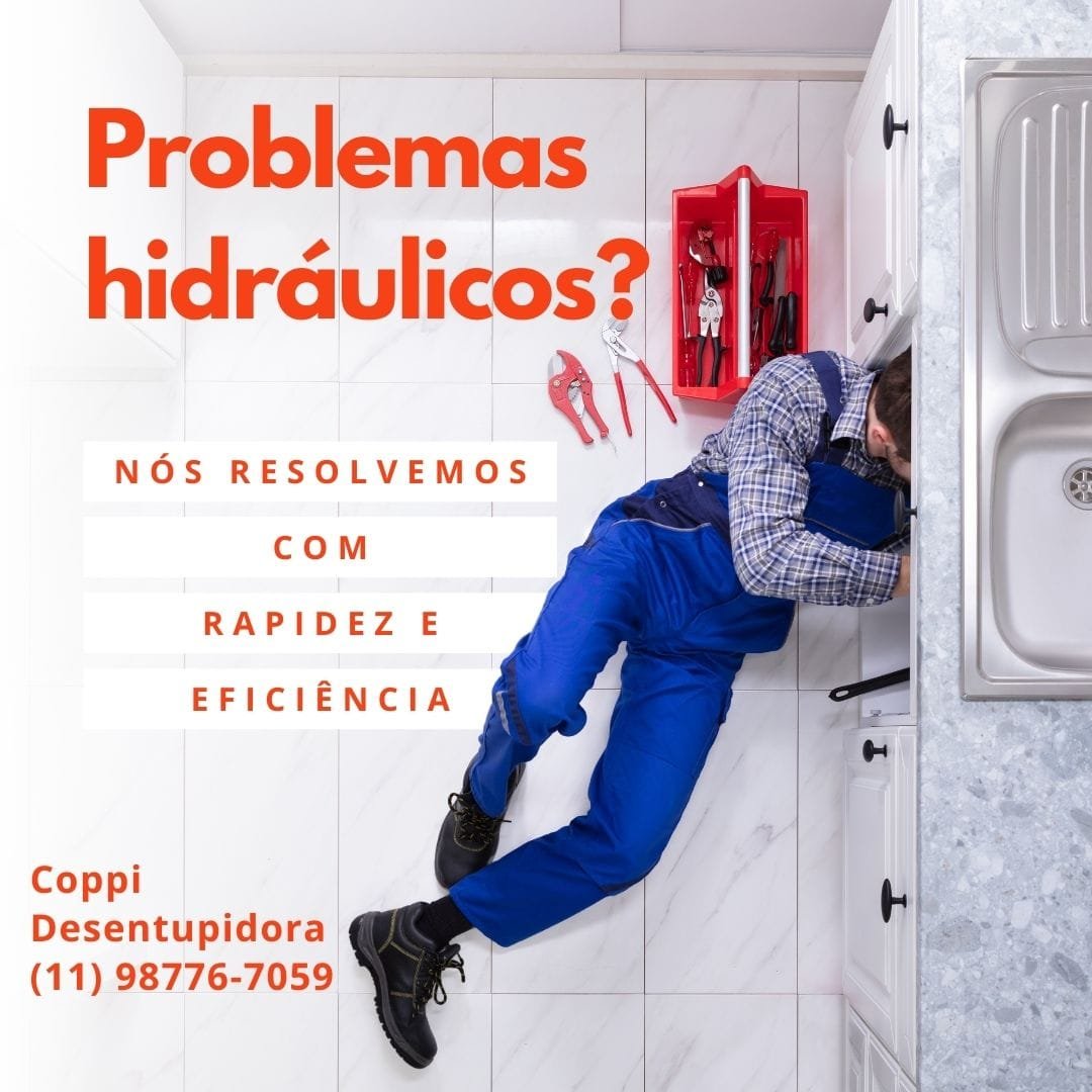 encanador em vila guilherme sp